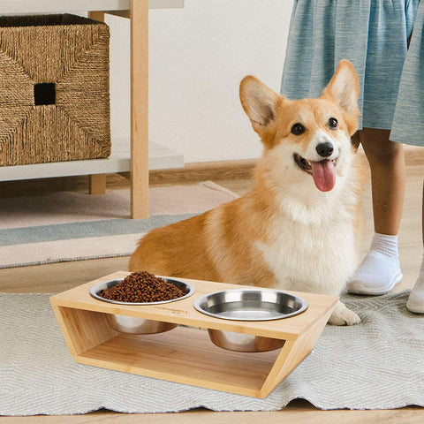 Pet Bowl With Stand Feeder