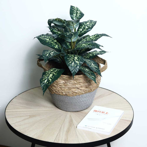 woven basket, fruit basket