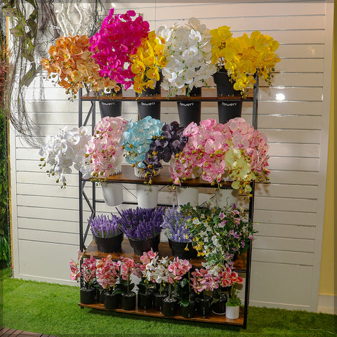 Display Pots Shelf