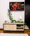 TV stand table