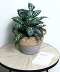 woven basket, fruit basket