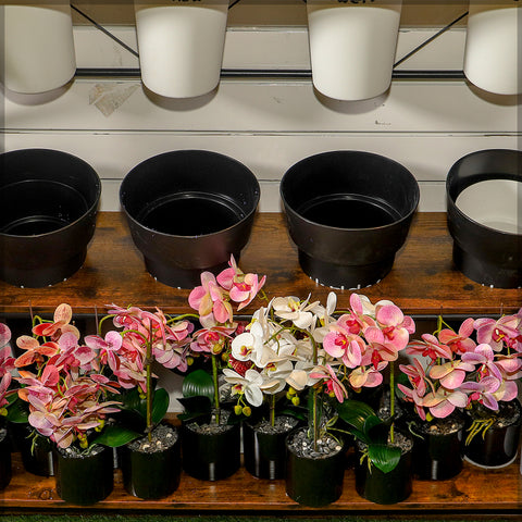 Display Pots Shelf