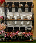 Display Pots Shelf